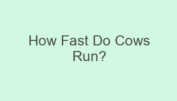 how fast do cows run 702010