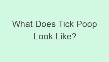 what does tick poop look like 702080