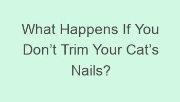 what happens if you doncabct trim your catcabcs nails 698962