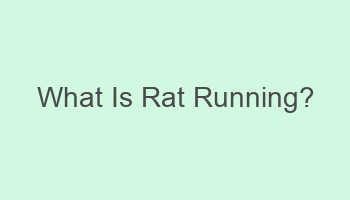 what is rat running 701882