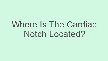 where is the cardiac notch located 702032